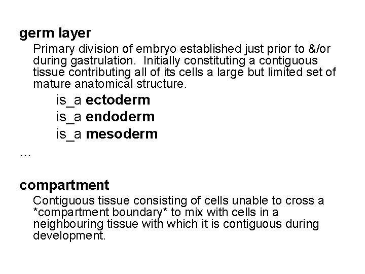 germ layer Primary division of embryo established just prior to &/or during gastrulation. Initially