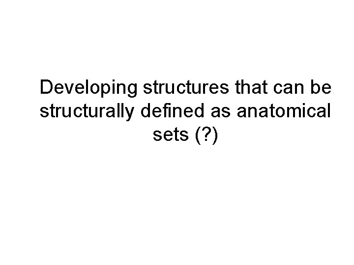 Developing structures that can be structurally defined as anatomical sets (? ) 