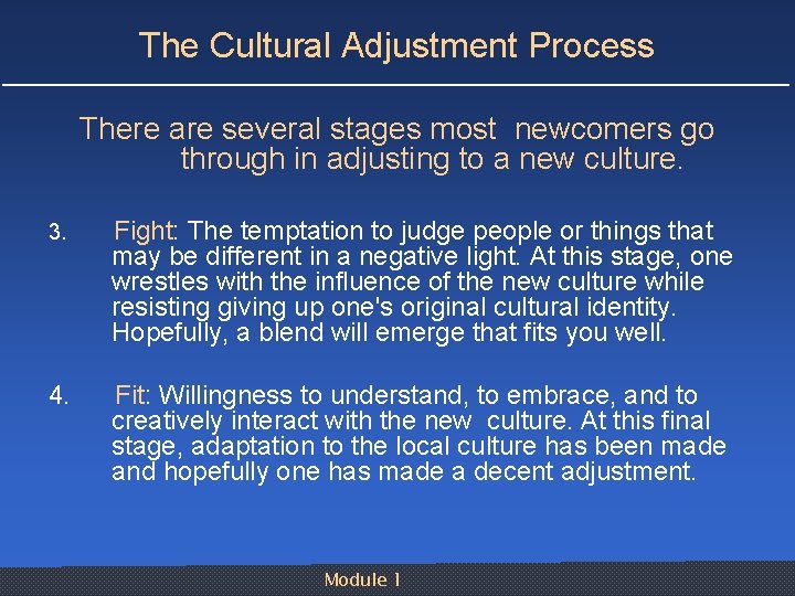 The Cultural Adjustment Process There are several stages most newcomers go through in adjusting