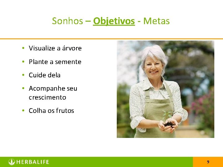 Sonhos – Objetivos - Metas • Visualize a árvore • Plante a semente •