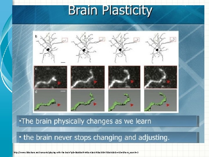 http: //www. slideshare. net/vansantr/playing-with-the-brain? qid=b 5 a 55 e 0 f-498 a-43 a 6