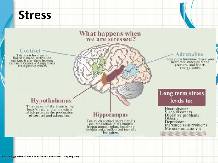 Stress Source: http: //yourbrainhealth. com. au/neuroscience-exercise-makes-happy-infographic/ 