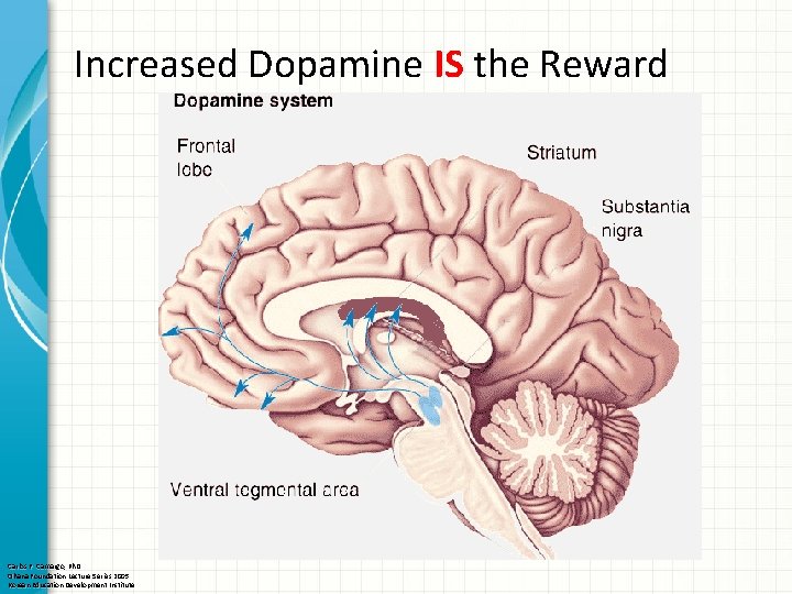 Increased Dopamine IS the Reward Carlos F. Camargo, Ph. D Ohana Foundation Lecture Series