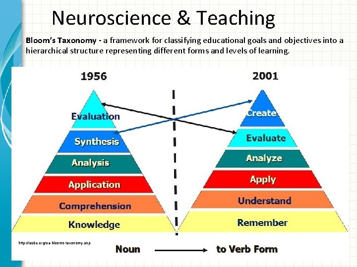 Neuroscience & Teaching Bloom’s Taxonomy - a framework for classifying educational goals and objectives