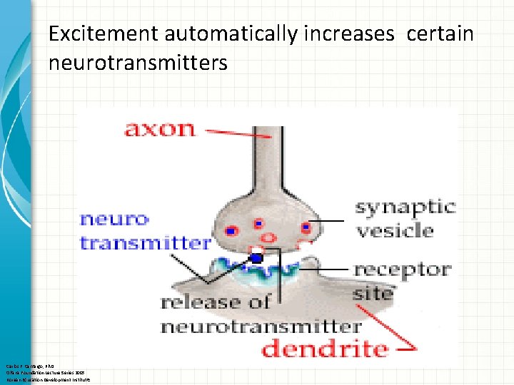 Excitement automatically increases certain neurotransmitters Carlos F. Camargo, Ph. D Ohana Foundation Lecture Series