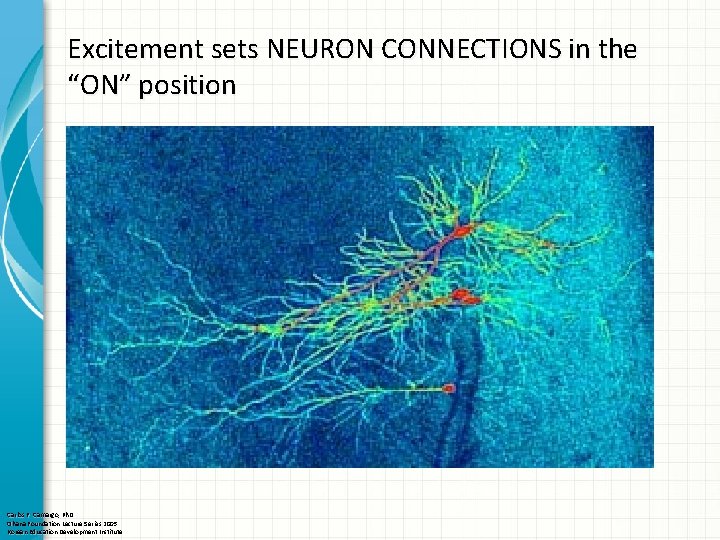 Excitement sets NEURON CONNECTIONS in the “ON” position Carlos F. Camargo, Ph. D Ohana