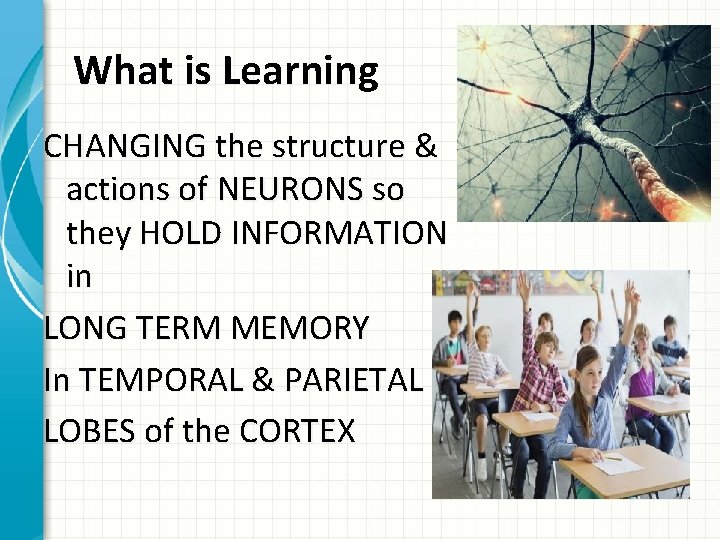 What is Learning CHANGING the structure & actions of NEURONS so they HOLD INFORMATION