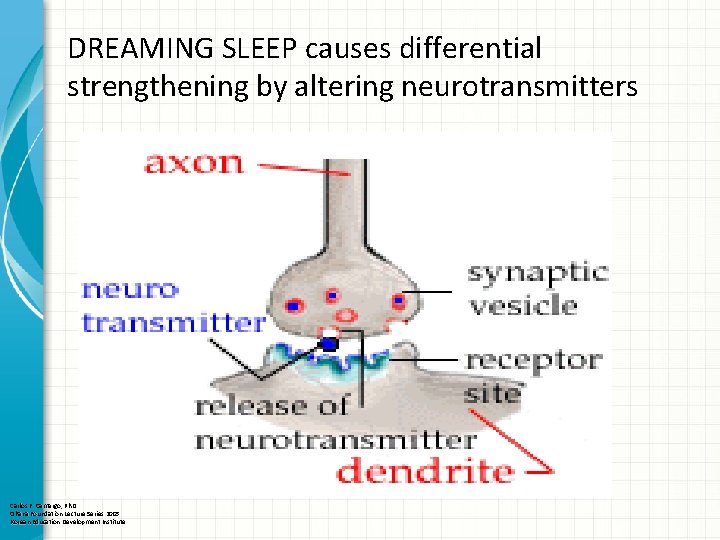 DREAMING SLEEP causes differential strengthening by altering neurotransmitters Carlos F. Camargo, Ph. D Ohana