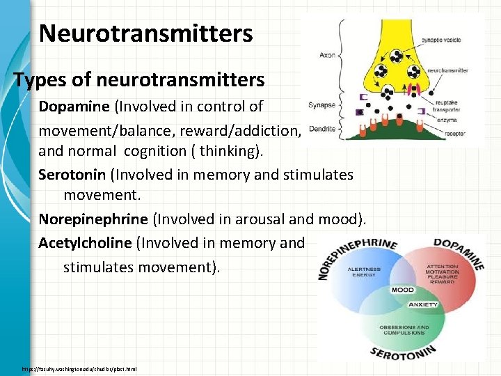 Neurotransmitters Types of neurotransmitters Dopamine (Involved in control of movement/balance, reward/addiction, pleasure, emotion and