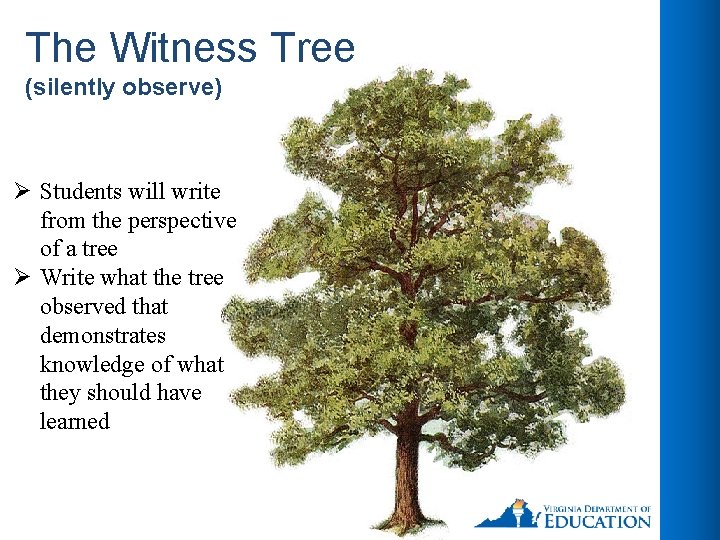The Witness Tree (silently observe) Ø Students will write from the perspective of a