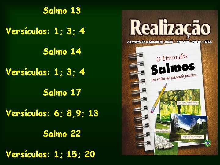 Salmo 13 Versículos: 1; 3; 4 Salmo 14 Versículos: 1; 3; 4 Salmo 17