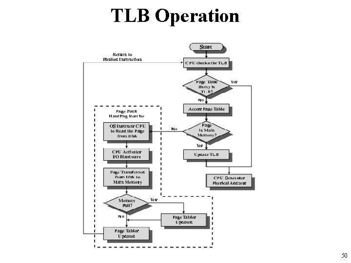 TLB Operation 50 