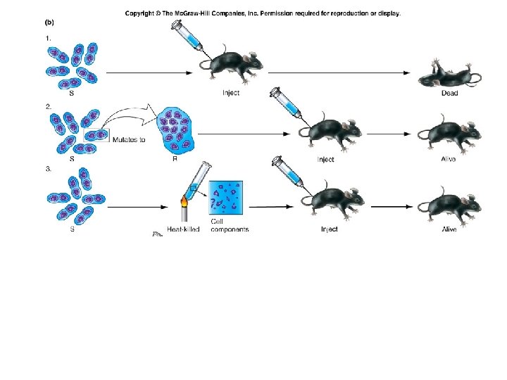 Fig. 6. 3 b 