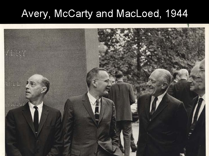 Avery, Mc. Carty and Mac. Loed, 1944 