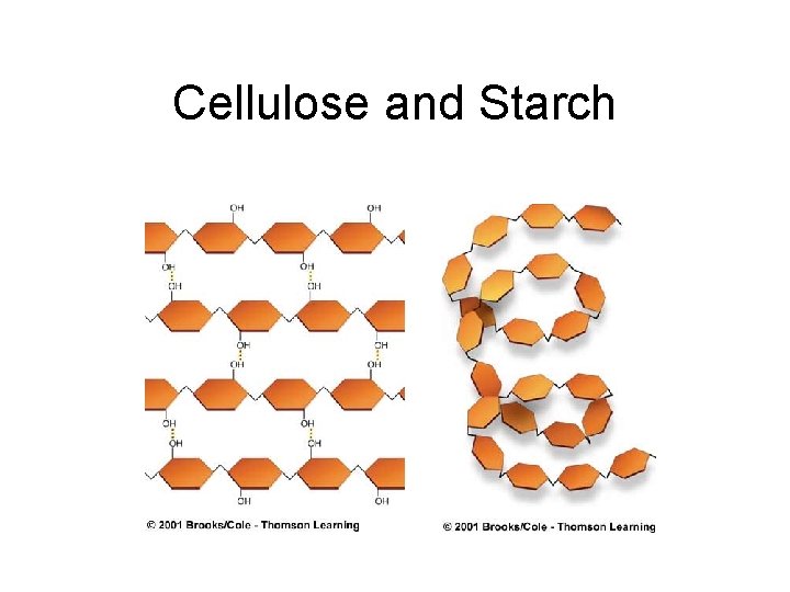 Cellulose and Starch 