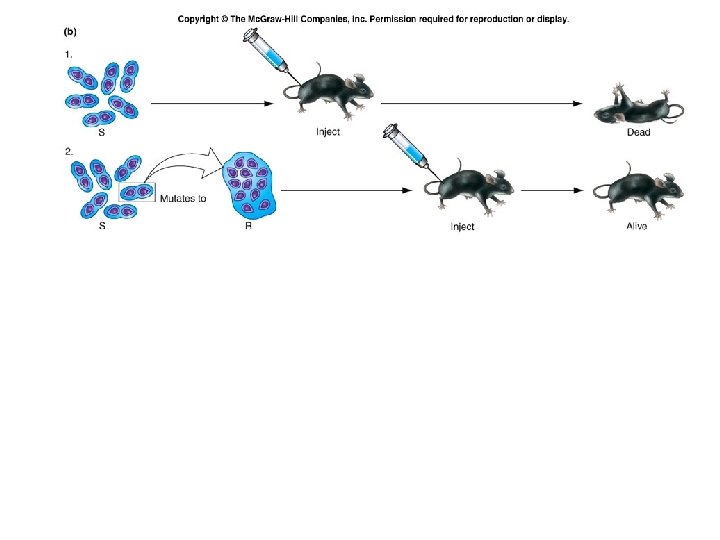 Fig. 6. 3 b 