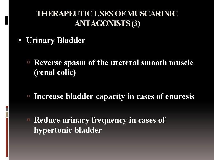 THERAPEUTIC USES OF MUSCARINIC ANTAGONISTS (3) Urinary Bladder Reverse spasm of the ureteral smooth