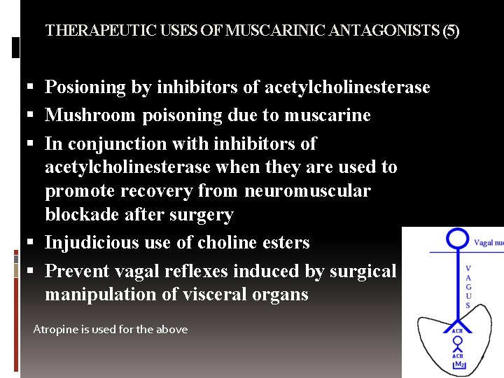 THERAPEUTIC USES OF MUSCARINIC ANTAGONISTS (5) Posioning by inhibitors of acetylcholinesterase Mushroom poisoning due