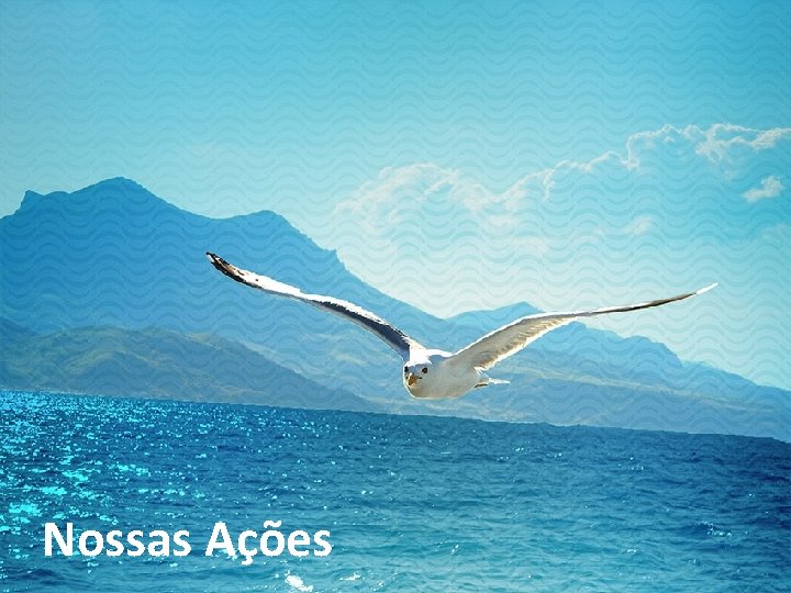 Nossas Ações 