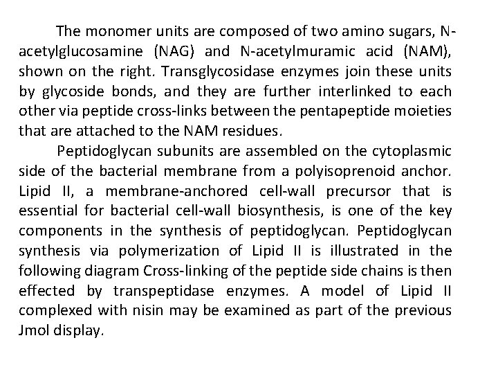 The monomer units are composed of two amino sugars, Nacetylglucosamine (NAG) and N-acetylmuramic acid The monomer units are composed of two amino sugars, Nacetylglucosamine (NAG) and N-acetylmuramic acid