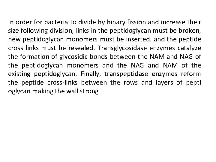 In order for bacteria to divide by binary fission and increase their size following In order for bacteria to divide by binary fission and increase their size following