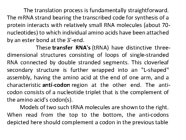 The translation process is fundamentally straightforward. The m. RNA strand bearing the transcribed code The translation process is fundamentally straightforward. The m. RNA strand bearing the transcribed code