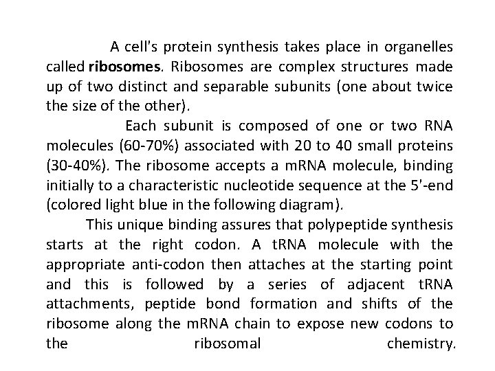 A cell's protein synthesis takes place in organelles called ribosomes. Ribosomes are complex structures A cell's protein synthesis takes place in organelles called ribosomes. Ribosomes are complex structures