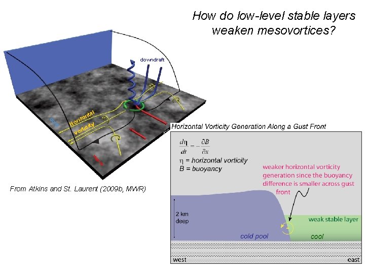 How do low-level stable layers weaken mesovortices? downdraft ld co l nta ity rtic