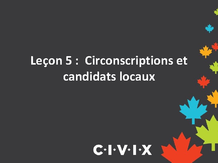 Leçon 5 : Circonscriptions et candidats locaux 