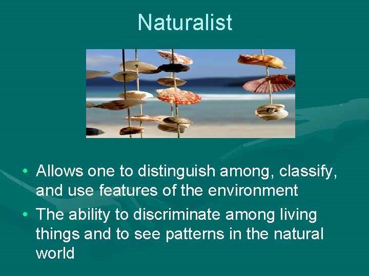 Naturalist • Allows one to distinguish among, classify, and use features of the environment