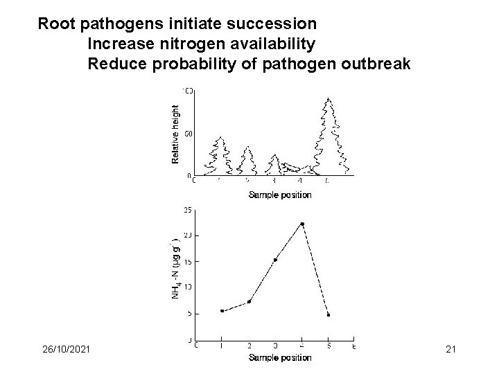 Root pathogens initiate succession Increase nitrogen availability Reduce probability of pathogen outbreak 26/10/2021 Landscape