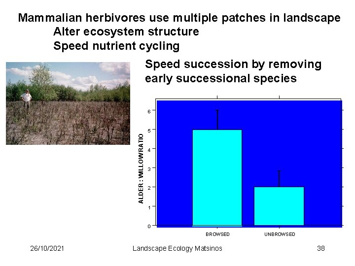 Mammalian herbivores use multiple patches in landscape Alter ecosystem structure Speed nutrient cycling Speed