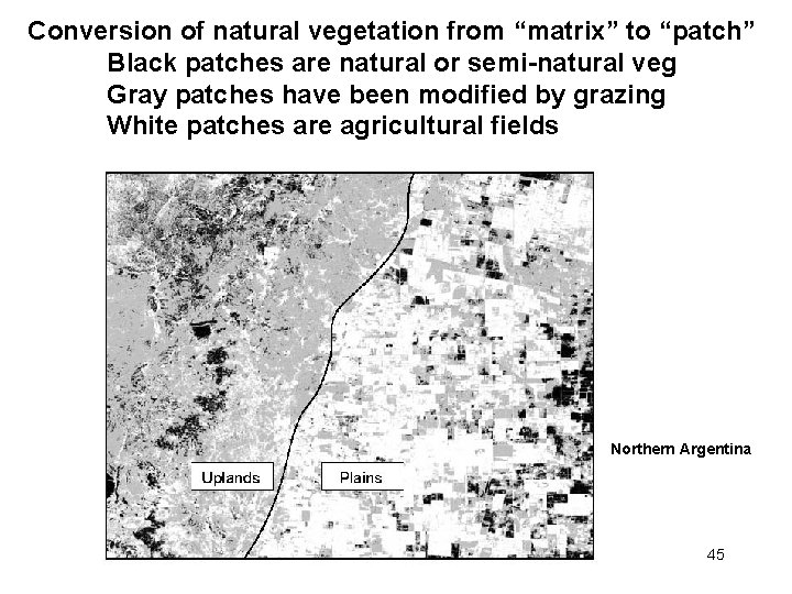 Conversion of natural vegetation from “matrix” to “patch” Black patches are natural or semi-natural