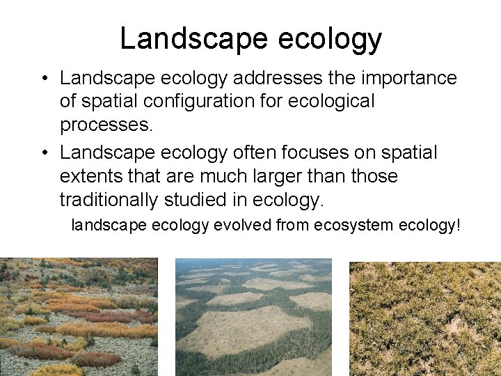 Landscape ecology • Landscape ecology addresses the importance of spatial configuration for ecological processes.