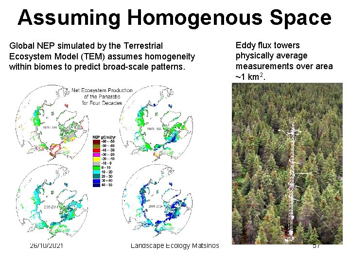 Assuming Homogenous Space Global NEP simulated by the Terrestrial Ecosystem Model (TEM) assumes homogeneity