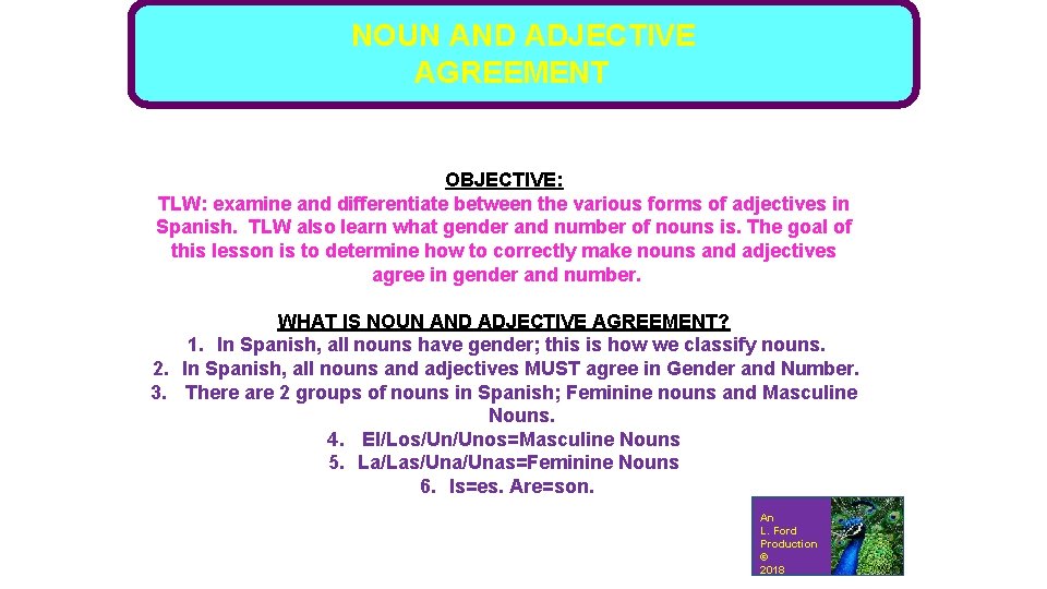 NOUN AND ADJECTIVE AGREEMENT OBJECTIVE: TLW: examine and differentiate between the various forms of