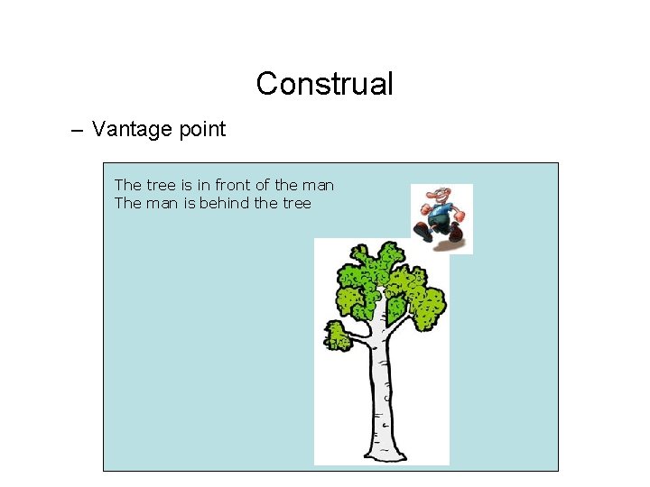 Construal – Vantage point The tree is in front of the man The man
