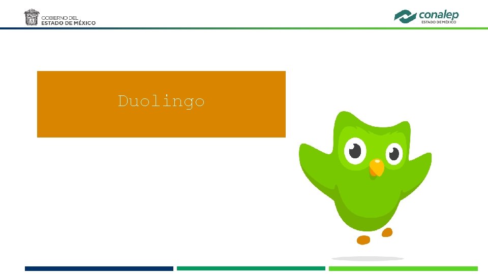 Estrategia Digital alumnos nuevo ingreso Duolingo 