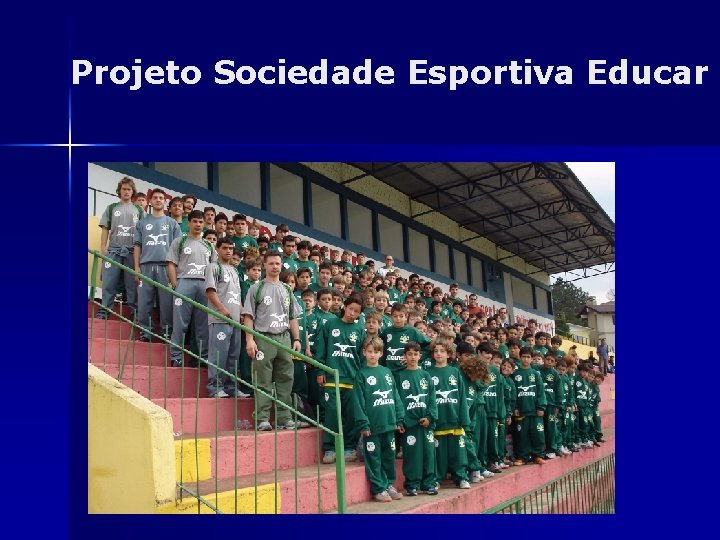 Projeto Sociedade Esportiva Educar 