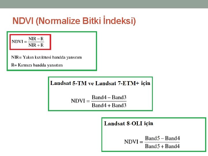 NDVI (Normalize Bitki İndeksi) 