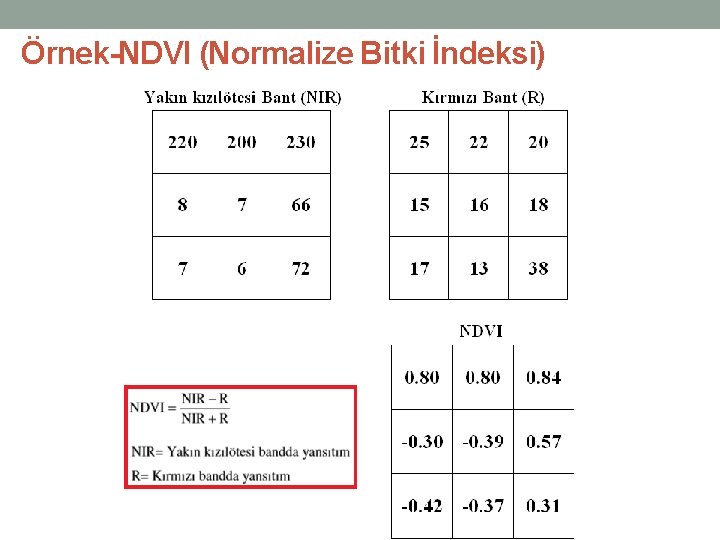 Örnek-NDVI (Normalize Bitki İndeksi) 