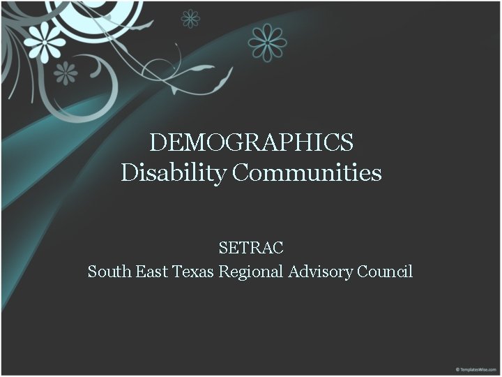 DEMOGRAPHICS Disability Communities SETRAC South East Texas Regional Advisory Council 