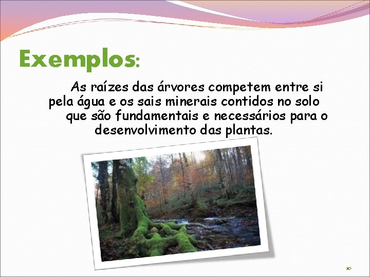 Exemplos: As raízes das árvores competem entre si pela água e os sais minerais