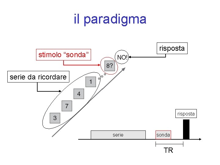 il paradigma risposta stimolo “sonda” serie da ricordare risposta serie sonda TR 