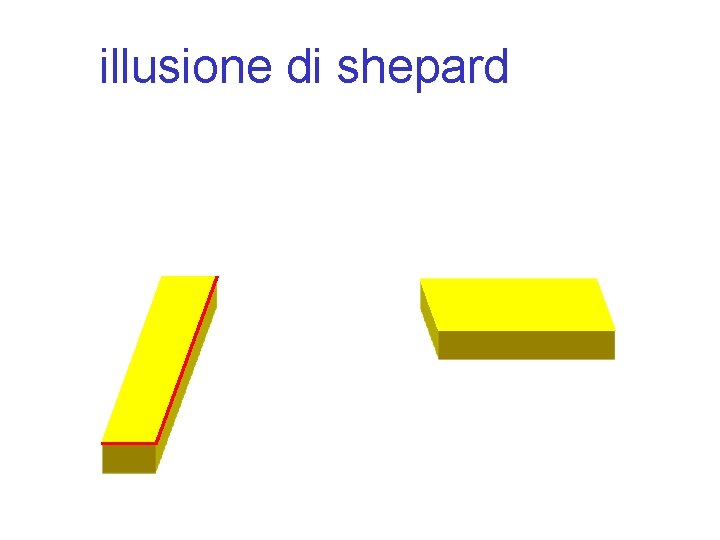 illusione di shepard 