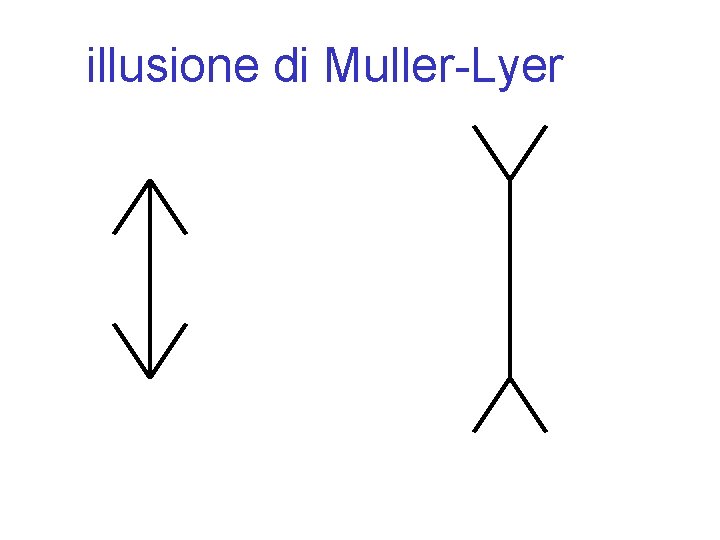 illusione di Muller-Lyer 