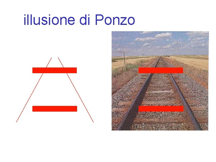 illusione di Ponzo 