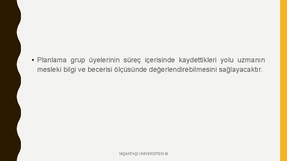  • Planlama grup üyelerinin süreç içerisinde kaydettikleri yolu uzmanın mesleki bilgi ve becerisi