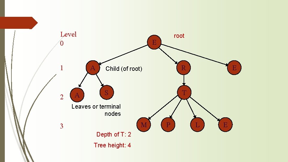 Level 0 1 2 E A A root Child (of root) R S T