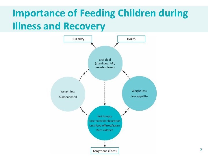 Importance of Feeding Children during Illness and Recovery 5 